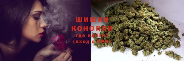 сатива Нязепетровск