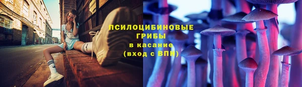 прущая мука Няндома