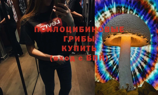 ALPHA-PVP Нягань