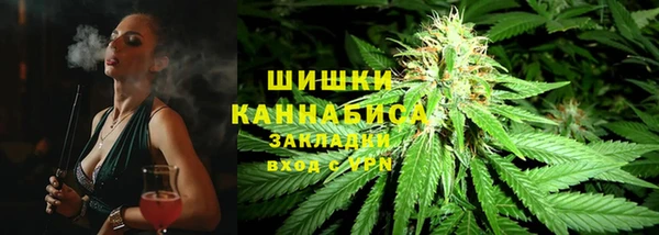 сатива Нязепетровск