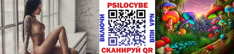 нарко площадка официальный сайт  Ядрин  Галлюциногенные грибы Magic Shrooms 
